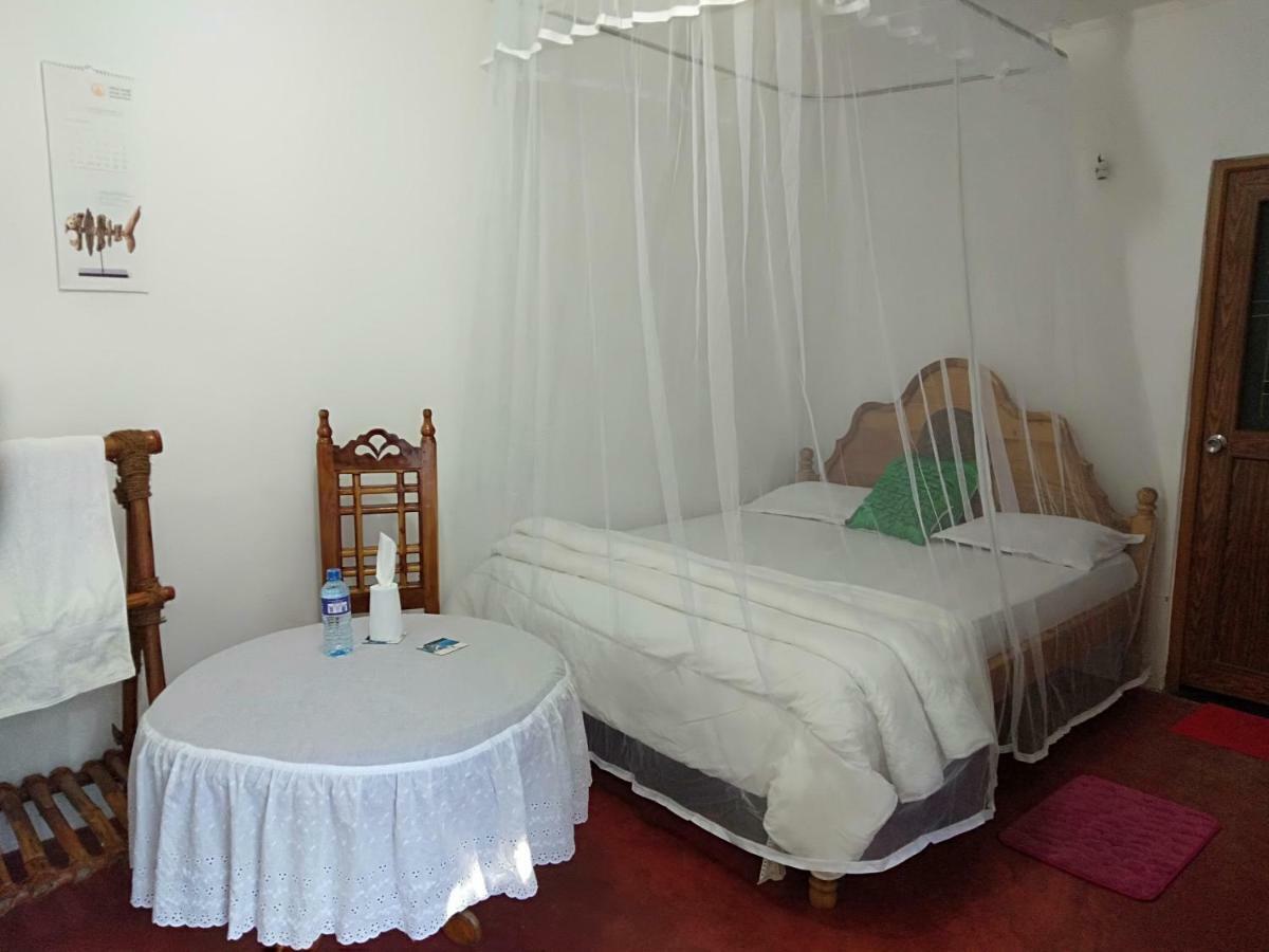 Homeaway Homestay Хаттон Экстерьер фото